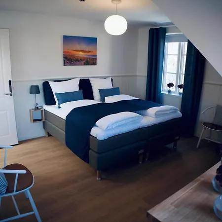 Plesners Hotel 4*