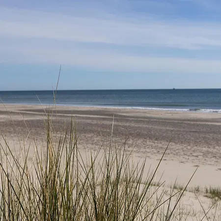 Plesners Skagen